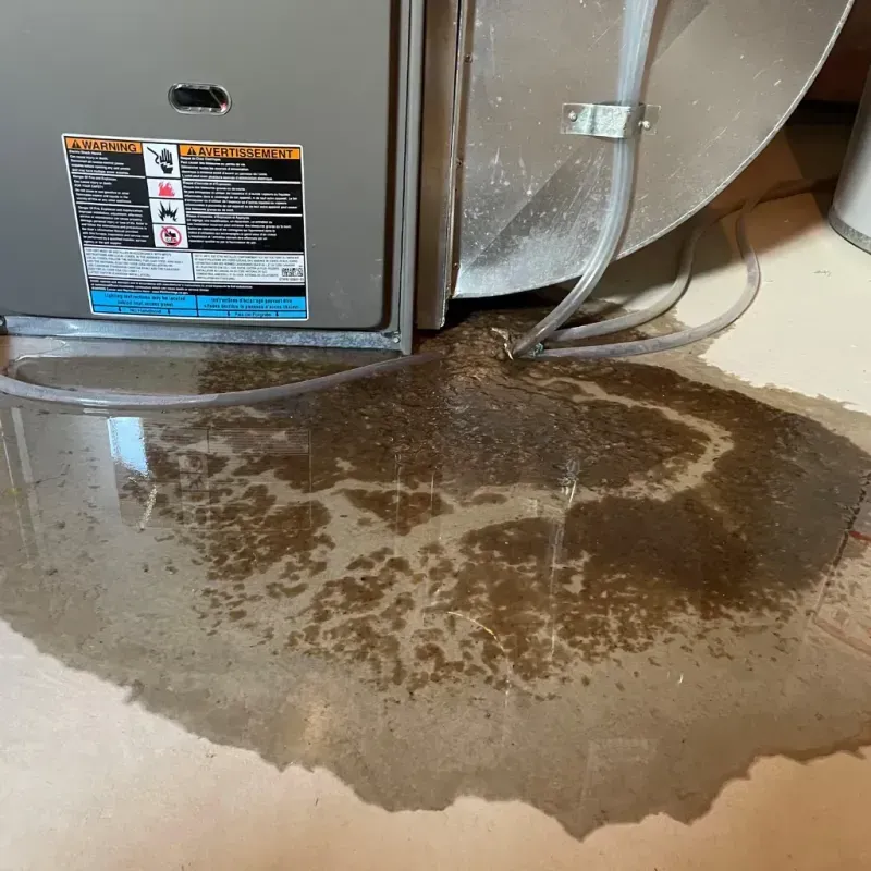 Appliance Leak Cleanup in Calhoun, KY